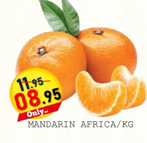 Mandarin available at رويال جلف هايبرماركت in الإمارات العربية المتحدة , الامارات - أبو ظبي