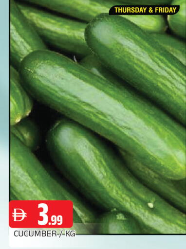 Cucumber available at AL MADINA in UAE - Sharjah / Ajman
