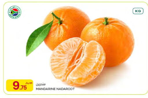 available at شركة الميرة للمواد الاستهلاكية in قطر - الوكرة