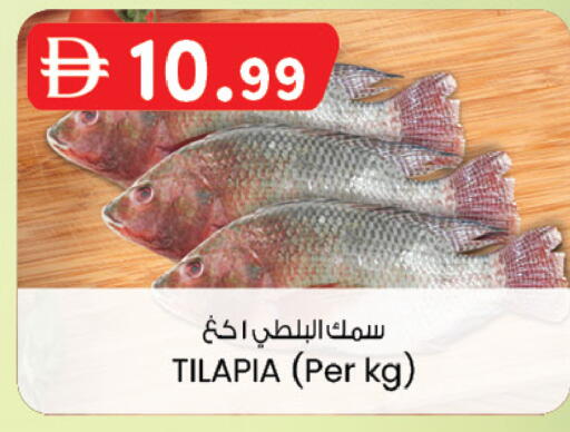 available at K M Trading  in UAE - Dubai