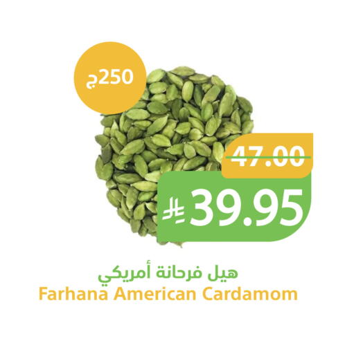 Cardamom available at أسواق قاطبة in مملكة العربية السعودية, السعودية, سعودية - بريدة