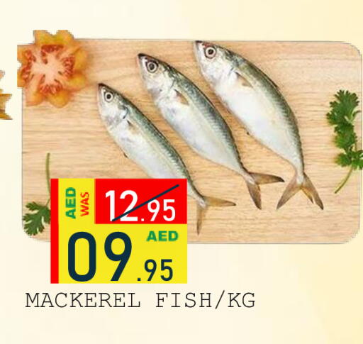 available at رويال جلف هايبرماركت in الإمارات العربية المتحدة , الامارات - أبو ظبي