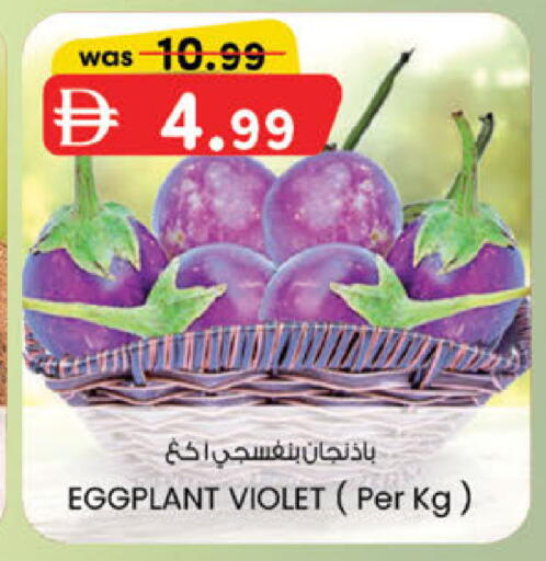 Eggplant available at ك. الم. للتجارة in الإمارات العربية المتحدة , الامارات - أبو ظبي