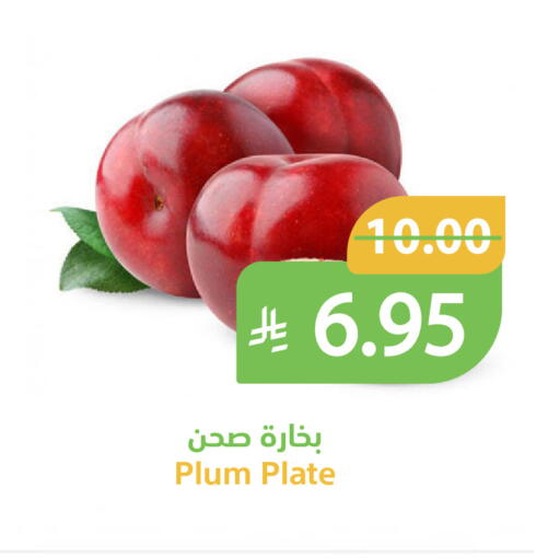 Plum available at أسواق قاطبة in مملكة العربية السعودية, السعودية, سعودية - بريدة
