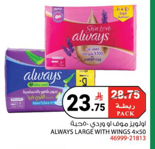 available at House Care in KSA, Saudi Arabia, Saudi - Mecca