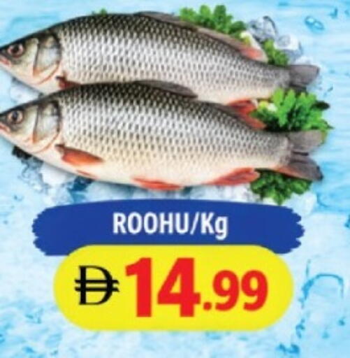 available at AL MADINA in UAE - Sharjah / Ajman