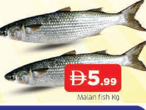 available at AL MADINA in UAE - Sharjah / Ajman