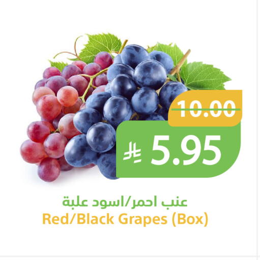 Grapes available at أسواق قاطبة in مملكة العربية السعودية, السعودية, سعودية - بريدة