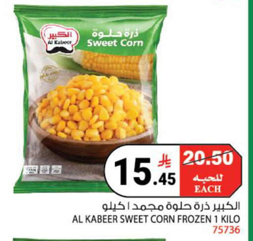 available at House Care in KSA, Saudi Arabia, Saudi - Mecca