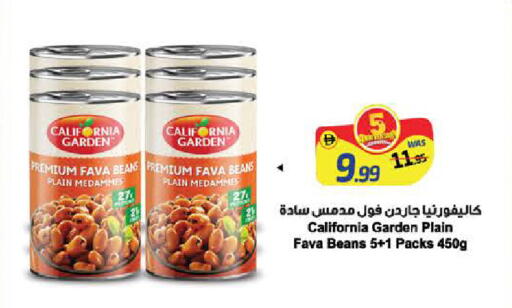 Mango available at مانجو هايبرماركت in الإمارات العربية المتحدة , الامارات - دبي