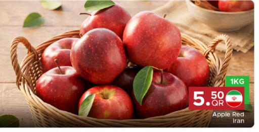 Apple from Iran available at مركز التموين العائلي in قطر - الوكرة
