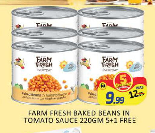 Mango Tomato available at مانجو هايبرماركت in الإمارات العربية المتحدة , الامارات - دبي