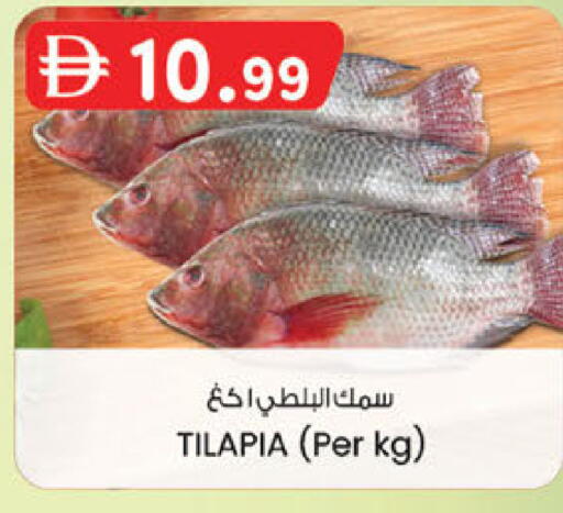 available at K.M Hypermarket in UAE - Sharjah / Ajman