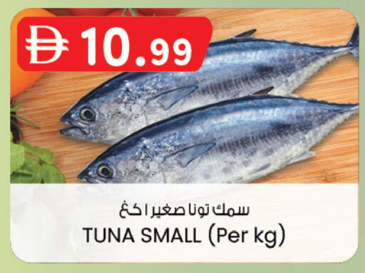 available at K M Trading  in UAE - Dubai