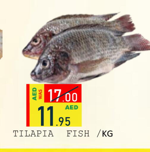 available at رويال جلف هايبرماركت in الإمارات العربية المتحدة , الامارات - أبو ظبي