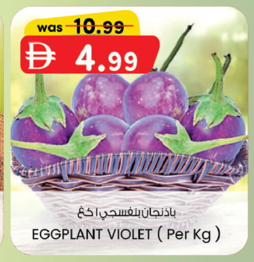 Eggplant available at ك. الم. للتجارة in الإمارات العربية المتحدة , الامارات - أبو ظبي