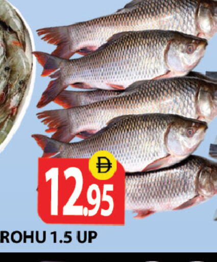 available at زين مارت سوبرماركت in الإمارات العربية المتحدة , الامارات - رَأْس ٱلْخَيْمَة