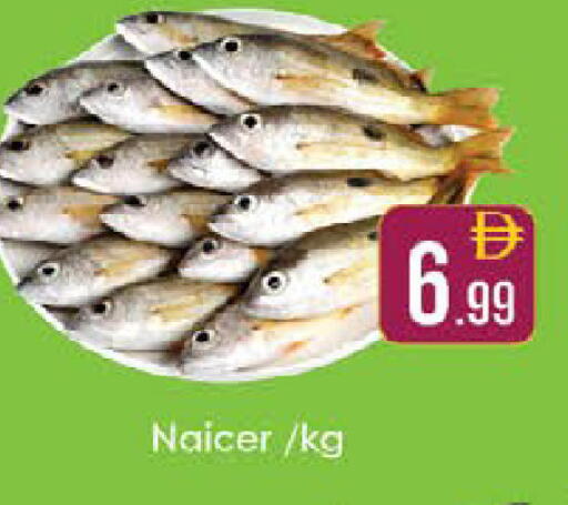 available at ايكو مول & ايكو هايبرماركت in الإمارات العربية المتحدة , الامارات - ٱلْعَيْن‎
