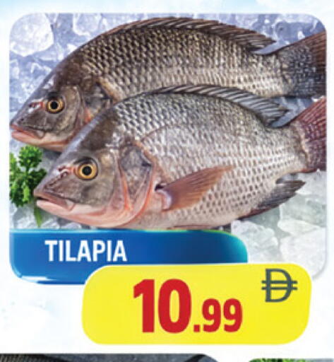 available at AL MADINA in UAE - Sharjah / Ajman