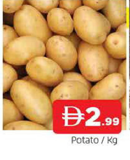 Potato available at المدينة in الإمارات العربية المتحدة , الامارات - الشارقة / عجمان