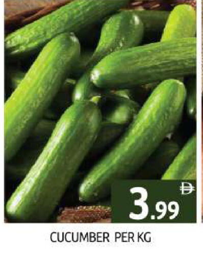 Cucumber available at BIGmart in UAE - Dubai