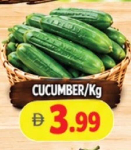 Cucumber available at AL MADINA in UAE - Sharjah / Ajman