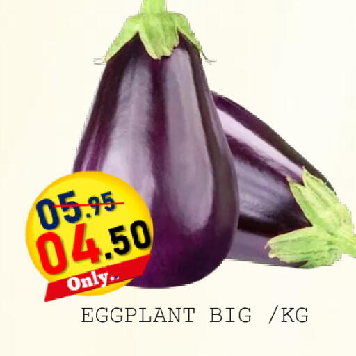 Eggplant available at رويال جلف هايبرماركت in الإمارات العربية المتحدة , الامارات - أبو ظبي