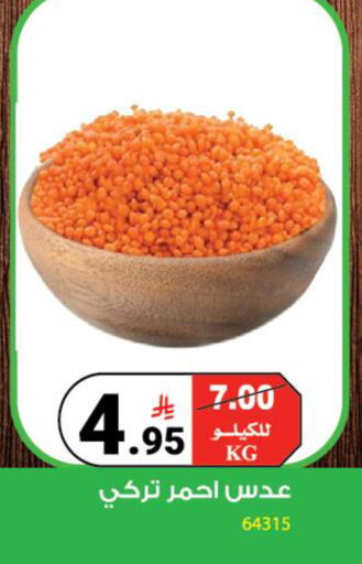 available at House Care in KSA, Saudi Arabia, Saudi - Mecca