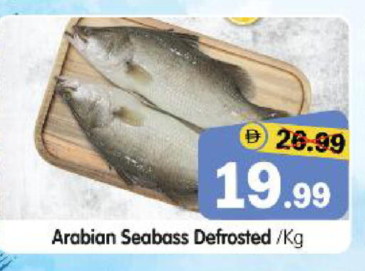 available at هايبر ماركت المدينة in الإمارات العربية المتحدة , الامارات - أبو ظبي