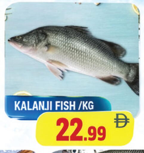 available at AL MADINA in UAE - Sharjah / Ajman