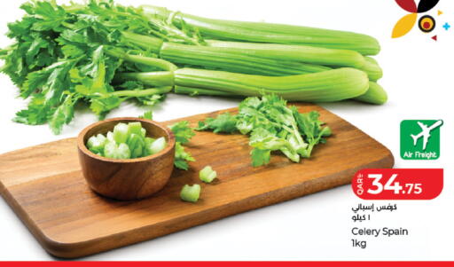 Celery from Spain available at LuLu Hypermarket in Qatar - Al Rayyan
