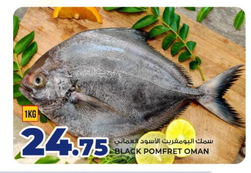 available at روابي هايبرماركت in قطر - الوكرة