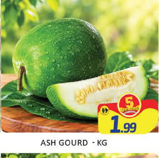 Mango available at مانجو هايبرماركت in الإمارات العربية المتحدة , الامارات - دبي
