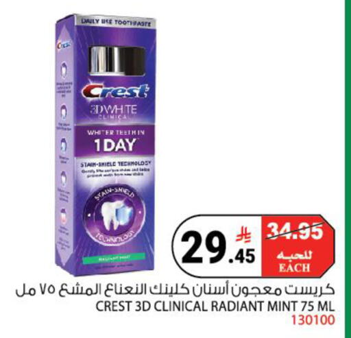 Mint available at House Care in KSA, Saudi Arabia, Saudi - Mecca