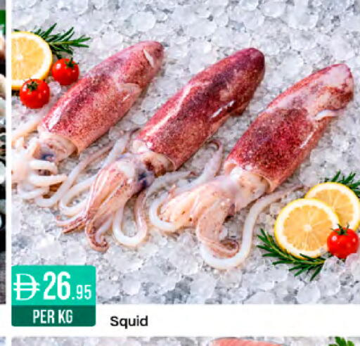 available at ويست زون سوبرماركت in الإمارات العربية المتحدة , الامارات - أبو ظبي