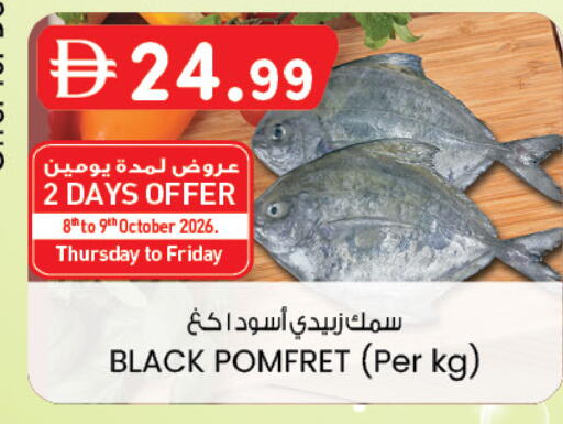 available at K M Trading  in UAE - Dubai