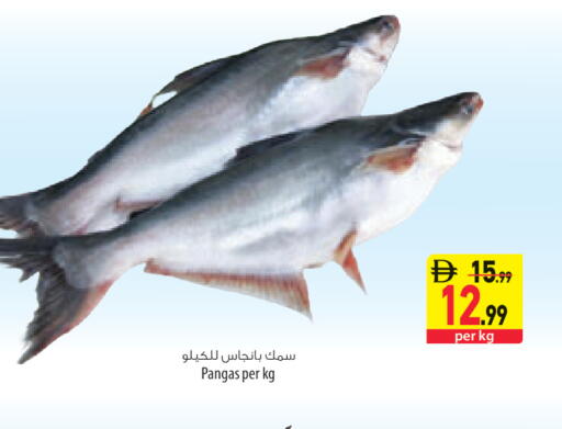 available at السفير ماركت in الإمارات العربية المتحدة , الامارات - ٱلْعَيْن‎