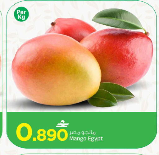 Mango from Egypt available at MARK & SAVE in Oman - Muscat