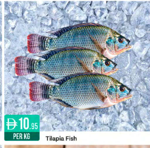 available at West Zone Supermarket in UAE - Sharjah / Ajman