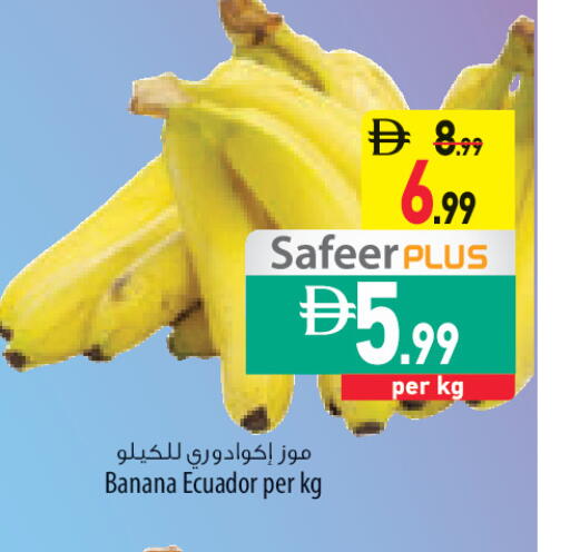 Banana from Ecuador available at السفير ماركت in الإمارات العربية المتحدة , الامارات - ٱلْعَيْن‎