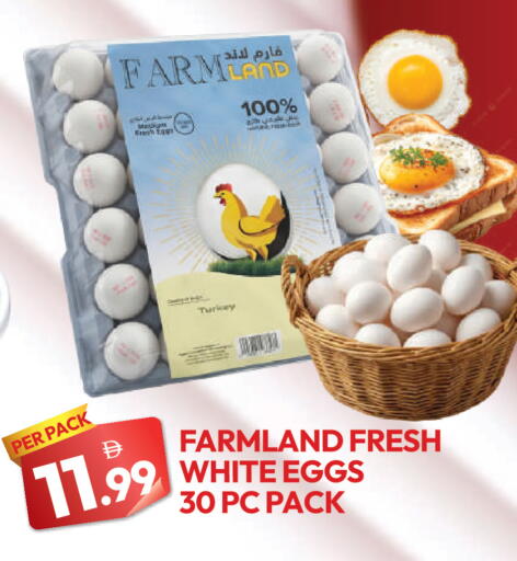 available at Dream Land in UAE - Dubai