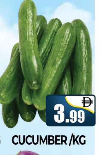 Cucumber available at المدينة in الإمارات العربية المتحدة , الامارات - دبي