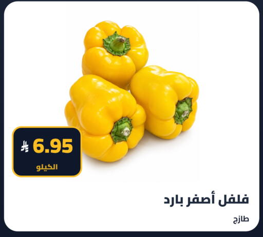 available at تموون الدمام in مملكة العربية السعودية, السعودية, سعودية - المنطقة الشرقية