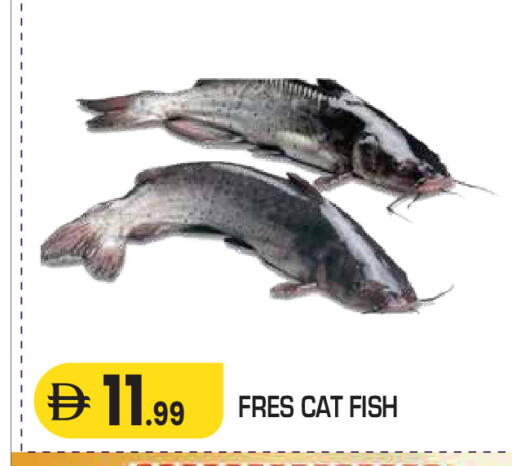 available at Baniyas Spike  in UAE - Al Ain