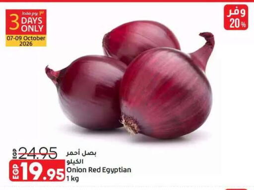 Onion from Egypt available at Lulu Hypermarket  in Egypt - Cairo