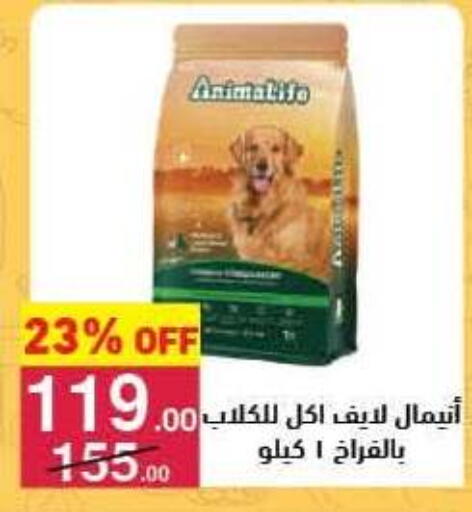 available at محمود الفار in Egypt - القاهرة