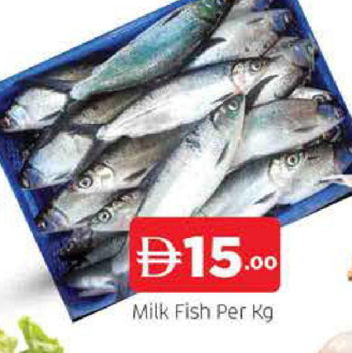 available at AL MADINA (Dubai) in UAE - Dubai