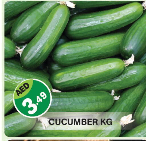 Cucumber available at Baniyas Spike  in UAE - Abu Dhabi