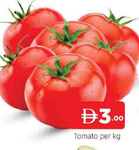 Tomato available at AL MADINA (Dubai) in UAE - Dubai