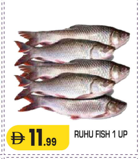available at سنابل بني ياس in الإمارات العربية المتحدة , الامارات - ٱلْعَيْن‎